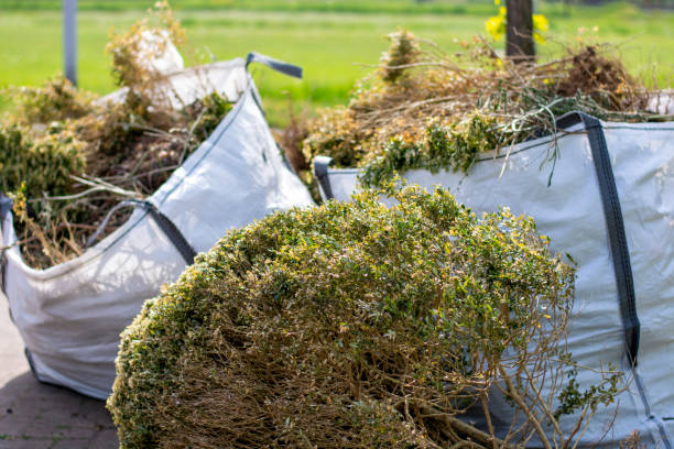 Shed Removal in Buckner, KY